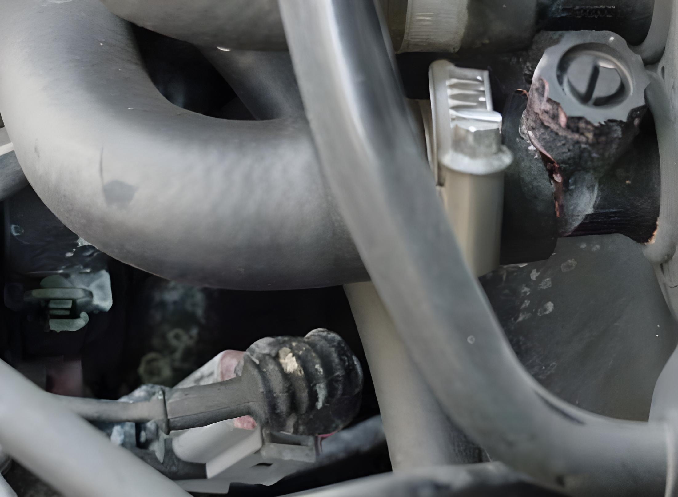 Bleeder screw leaks